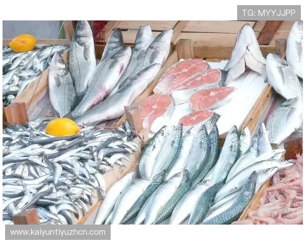 开云网站用户常见问题解答及售后服务流程全方位指南