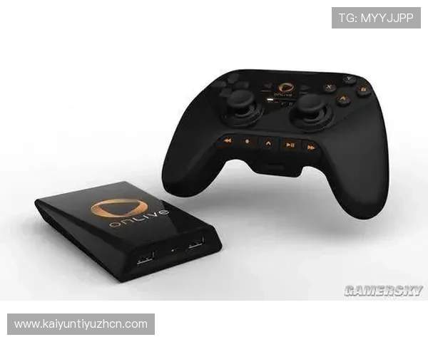 开云网页版app直接进入安全保障措施，确保玩家账号信息安全与游戏环境的稳定性