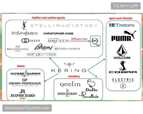 分析开云公司在奢侈品与数字娱乐融合中的成功经验及其对游戏行业的启示与借鉴