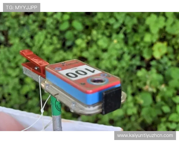 如何下载安装kb体育官方客户端，详细步骤与常见问题解决方案推荐