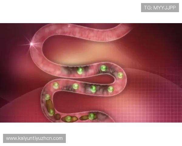 开运网页版介绍多种实用的开运方法让你在游戏中轻松应对各种挑战