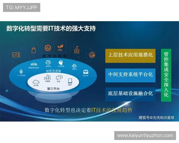 开云公司如何通过数字化转型实现业务创新与客户体验优化