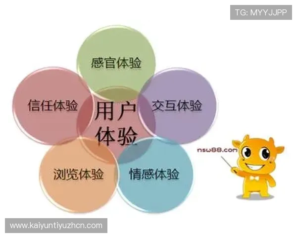 开云在线登录界面优化，提升用户体验的最新设计与操作技巧